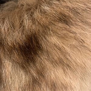 Black Suede & Warm Color Fox Fur On Collar & Sleeves Coat.